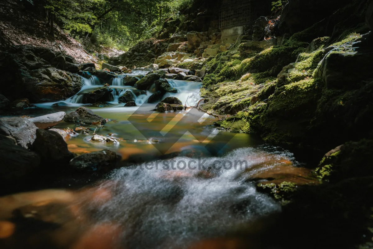 Picture of Cascading Waterfall in Mountainous Wilderness Landscape