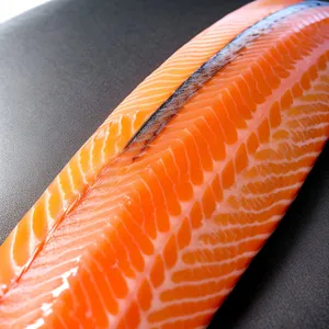 Raw Salmon Bag: Seafood and Texture in Orange Light