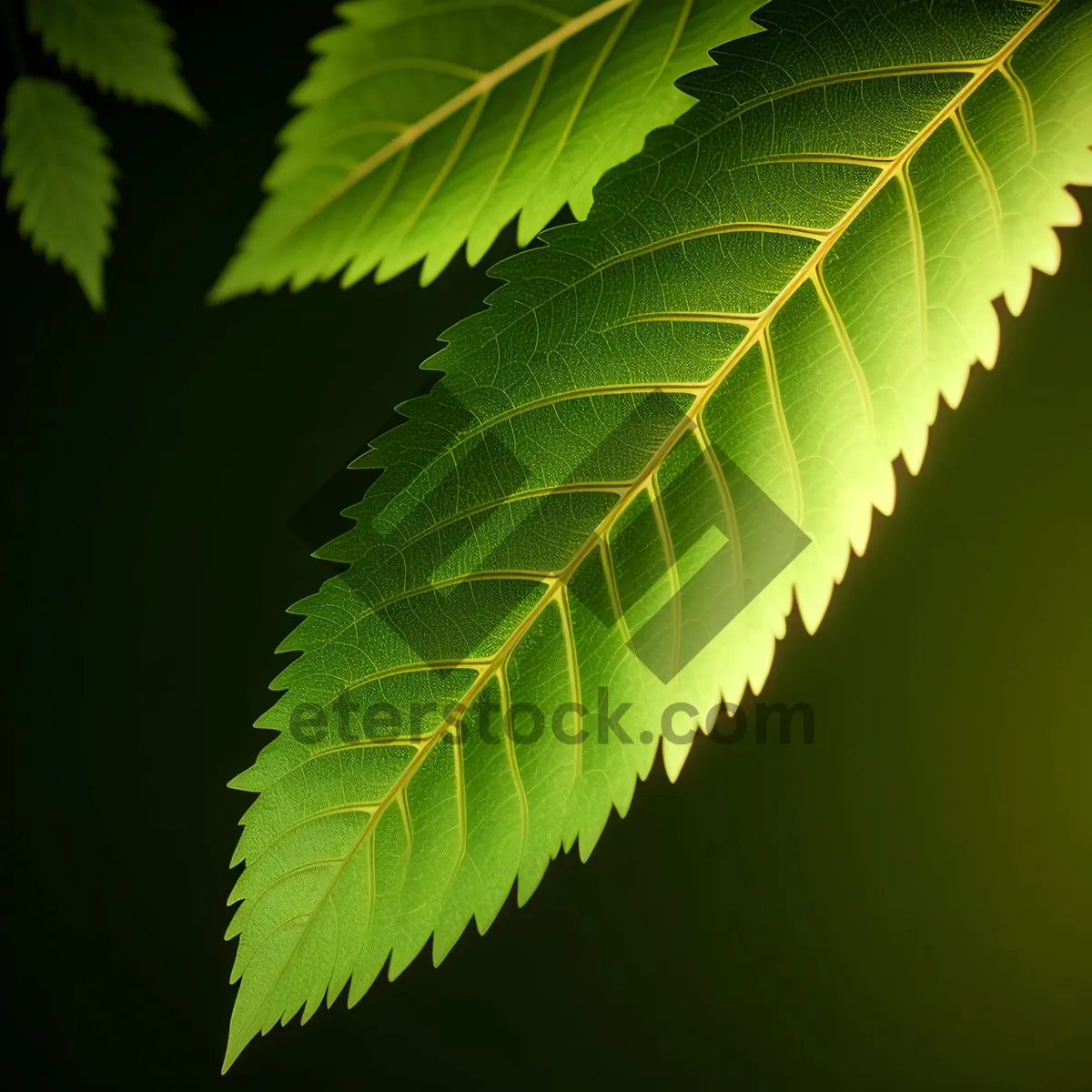 Picture of Fresh Greenery Blooms in Lush Forest