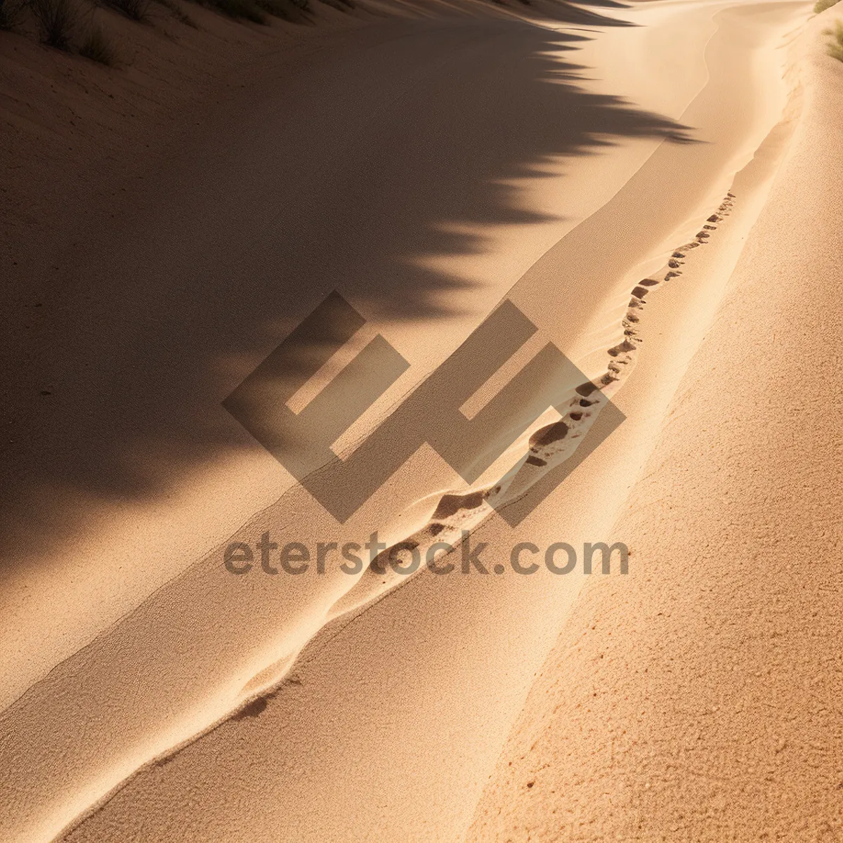 Picture of Adventure in the Desert Sands