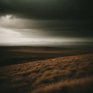 Golden Horizon: Sun Setting on Sandy Beach