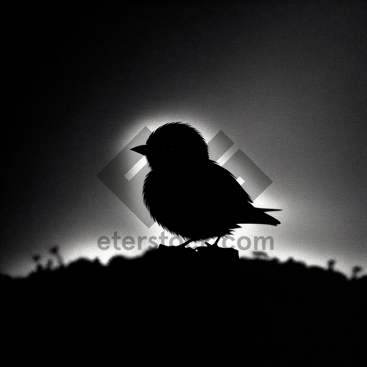 Picture of Wild black feathered starling bird in flight