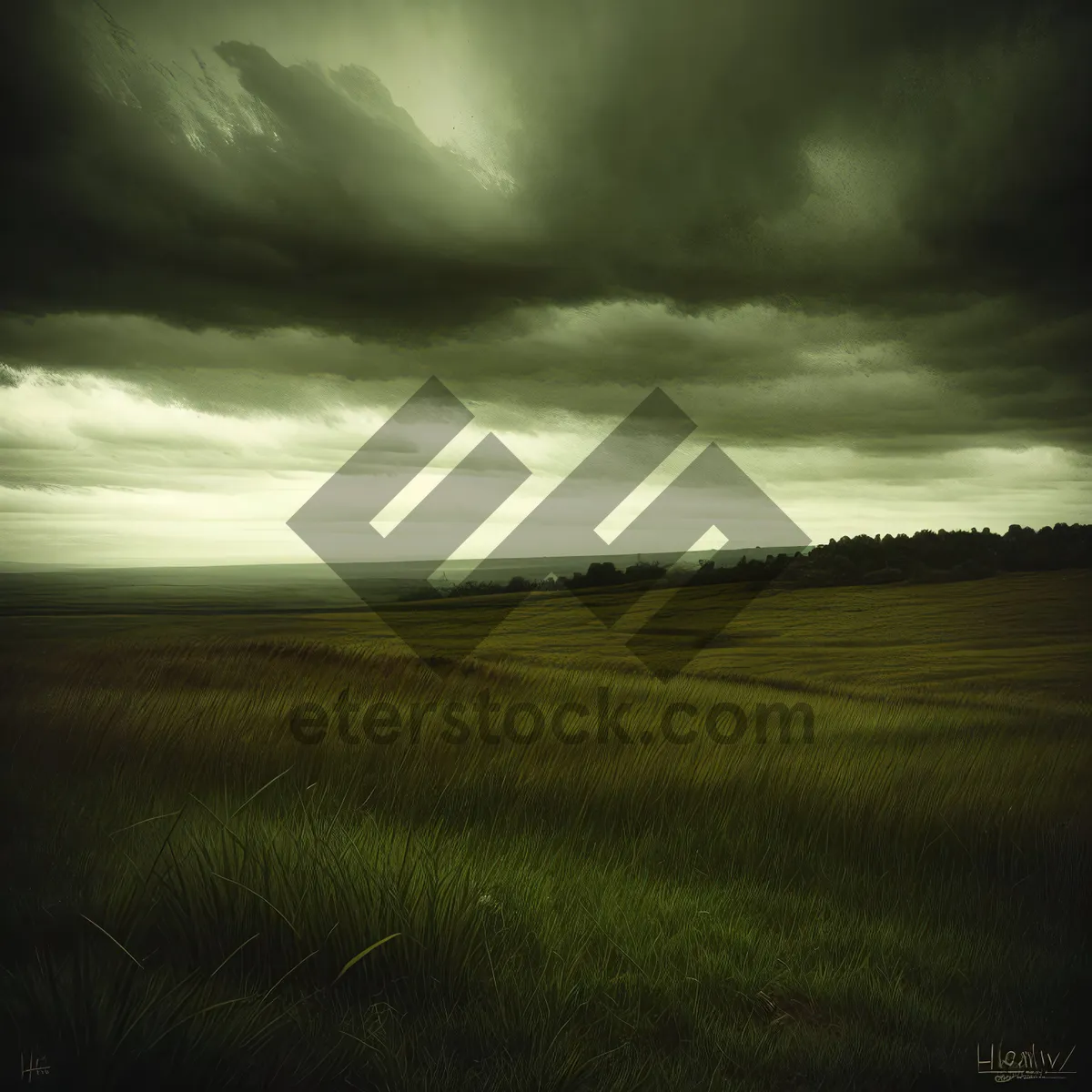 Picture of Lush Horizon: Sunlit Steppe Meadow in the Countryside