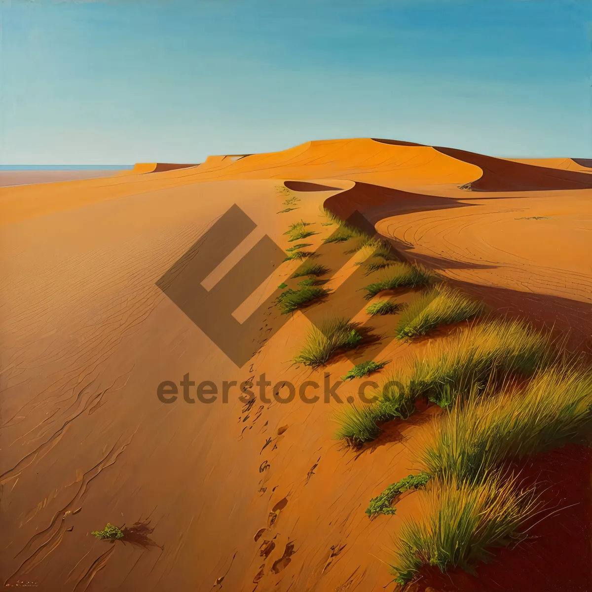 Picture of Sun-kissed Moroccan Desert Dunes