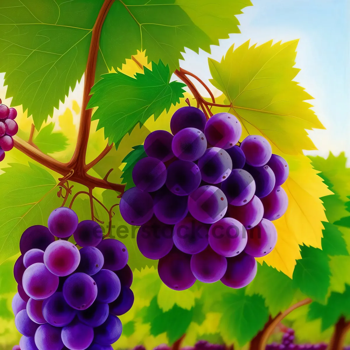 Picture of Vibrant Autumn Harvest: Ripe and Juicy Berry Cluster in Vineyard