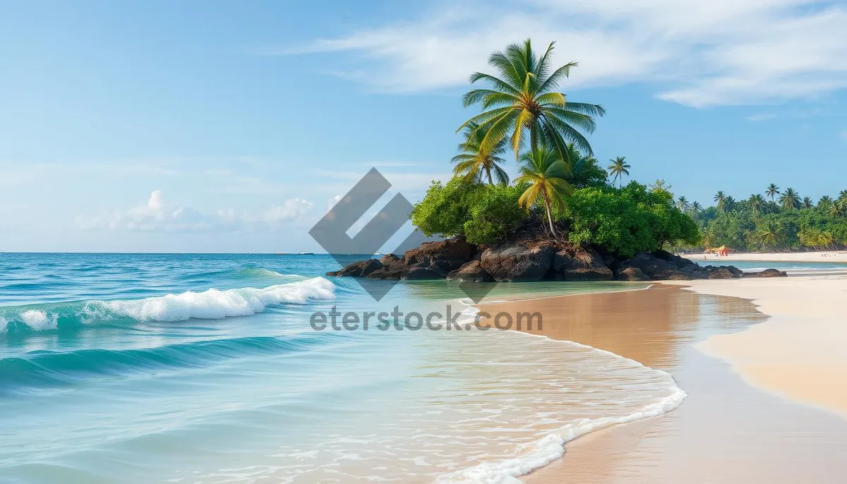 Picture of Tropical paradise beach with calm turquoise waters and palms.