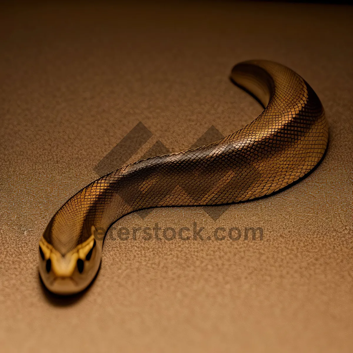 Picture of Wild Sea Snake Slithering Through Thunderous Night