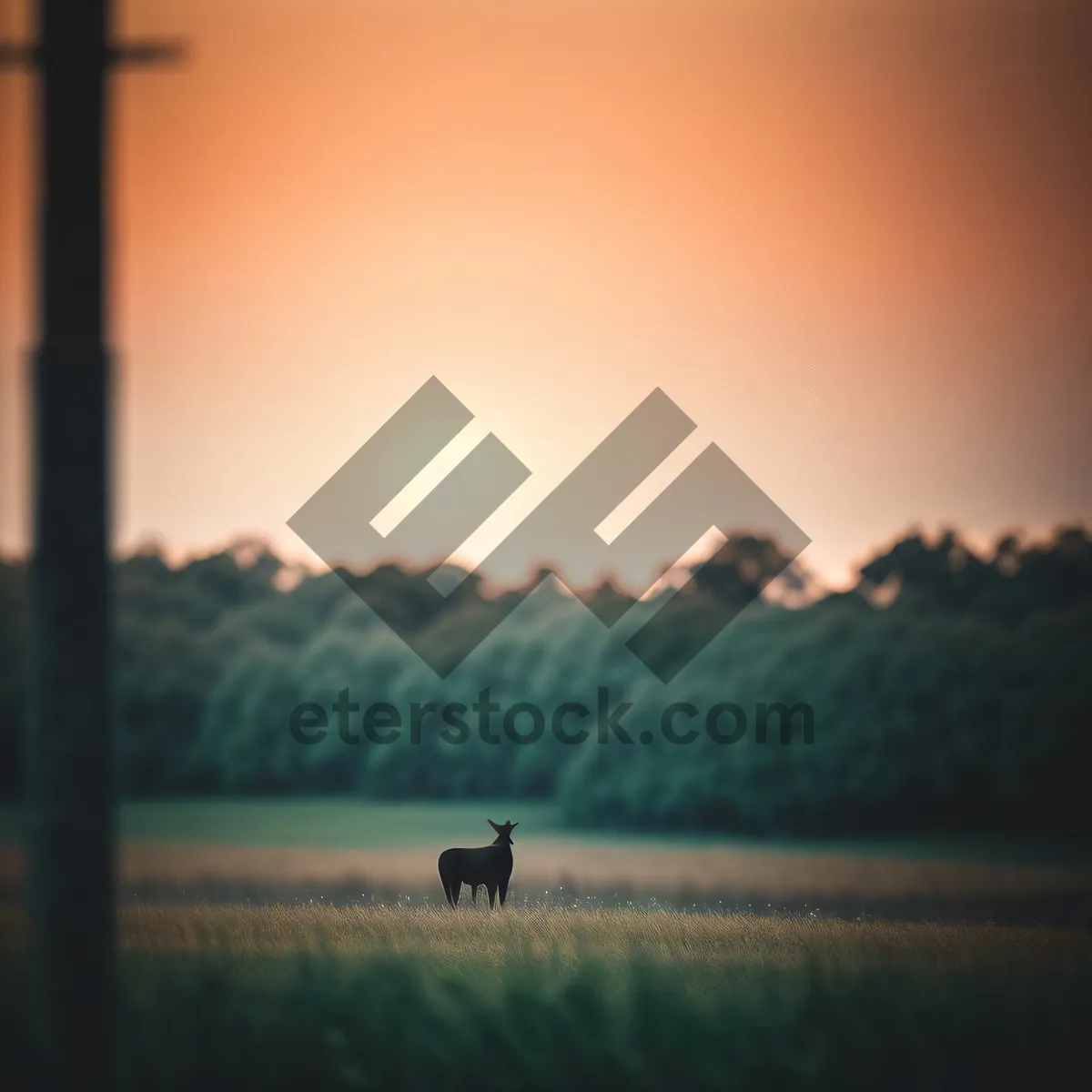 Picture of Serene Sunrise over Vast Rural Landscape