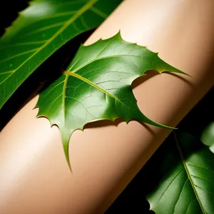 Arthropod perched on leaf in a green forest