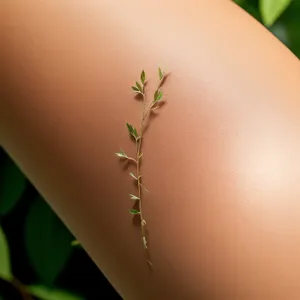 Sprouting Ant Among Lush Green Foliage