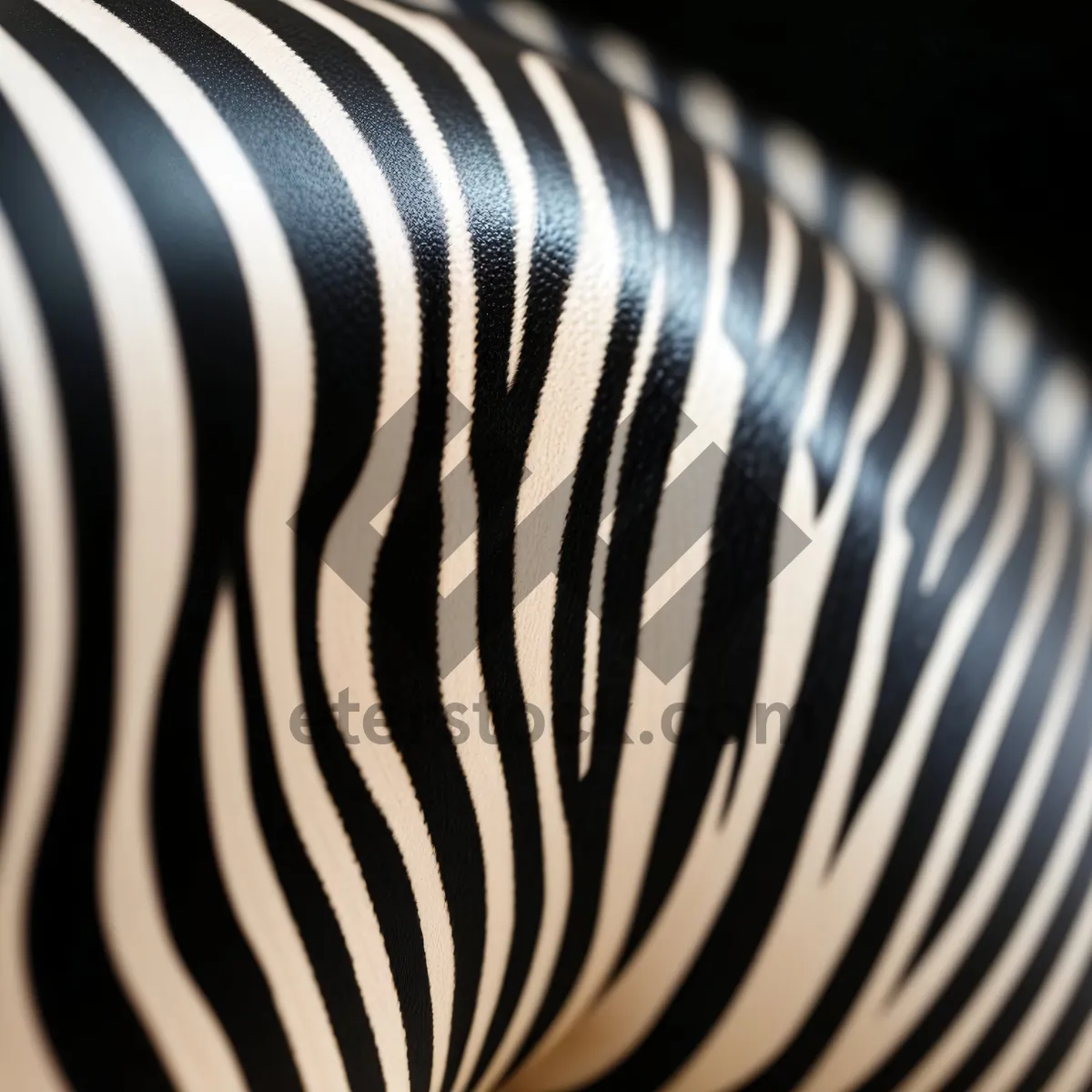 Picture of Zebra-patterned Coil Spring Device in Black Safari