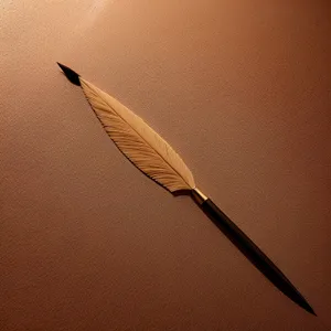 Writing Tools: Quill and Pen Close-Up