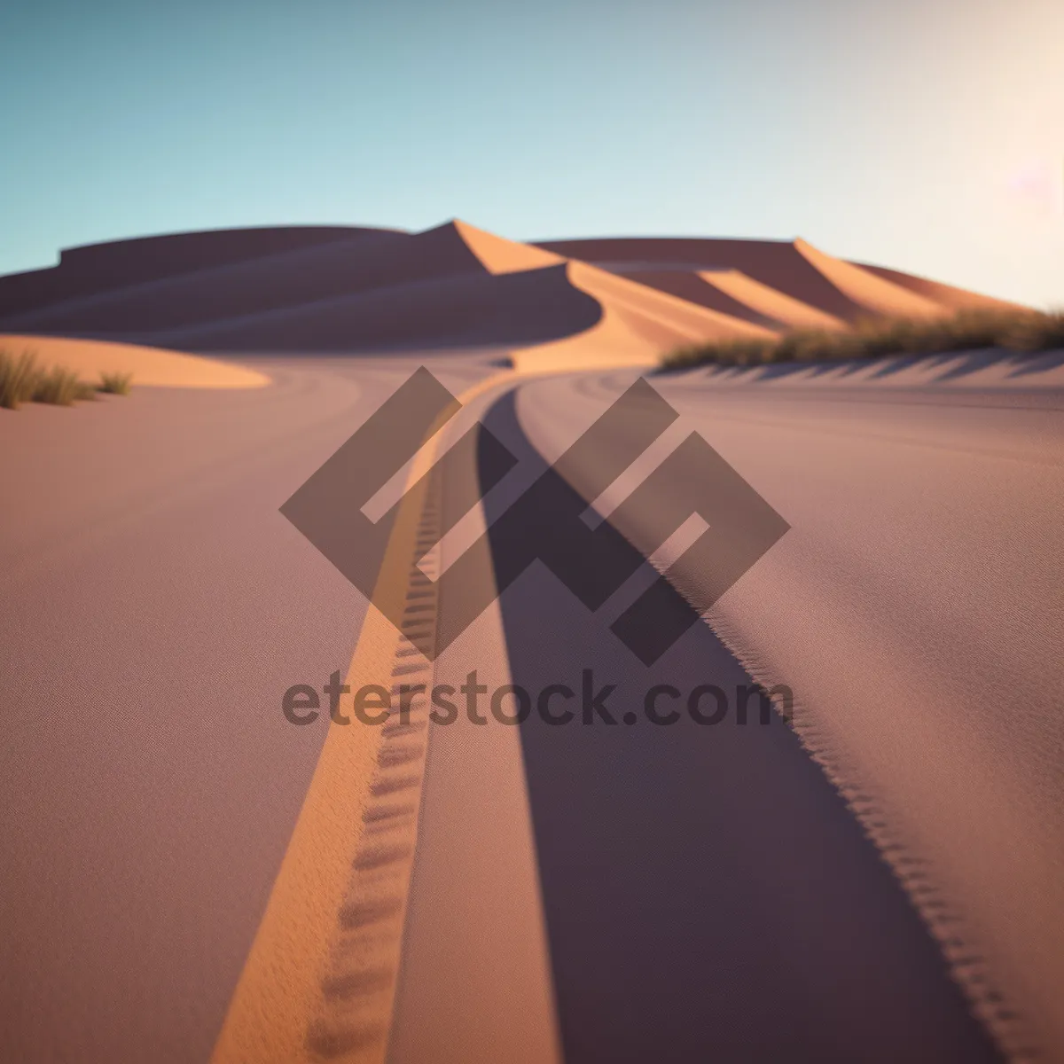 Picture of Desert Horizon: Elegant Motion through Sunlit Sands