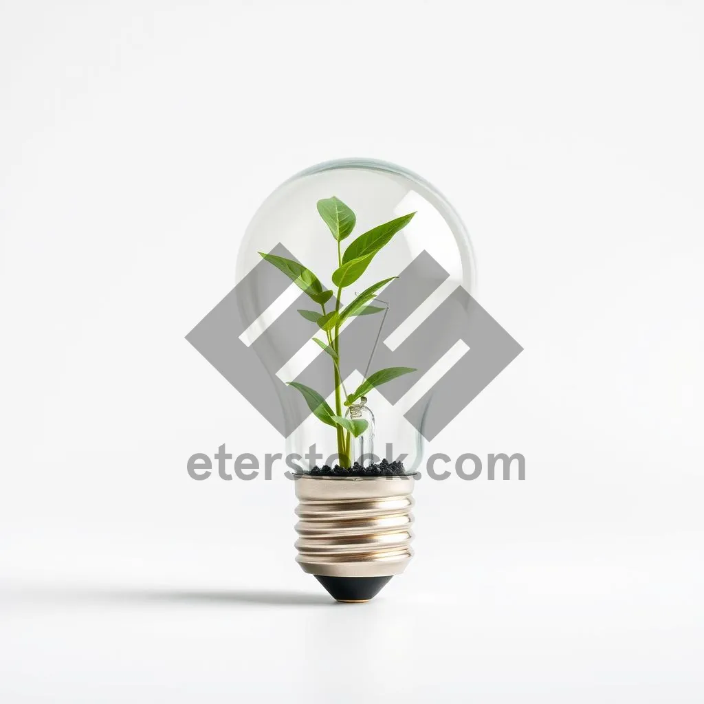 Picture of Bright energy-saving lamp with leaf plant decoration concept.