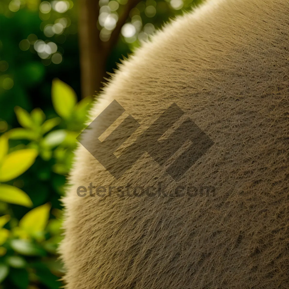 Picture of Cute King Penguin Poses Majestically with Brown Fur