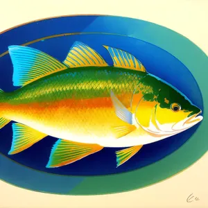 Golden Finned Swimmer in Aqua