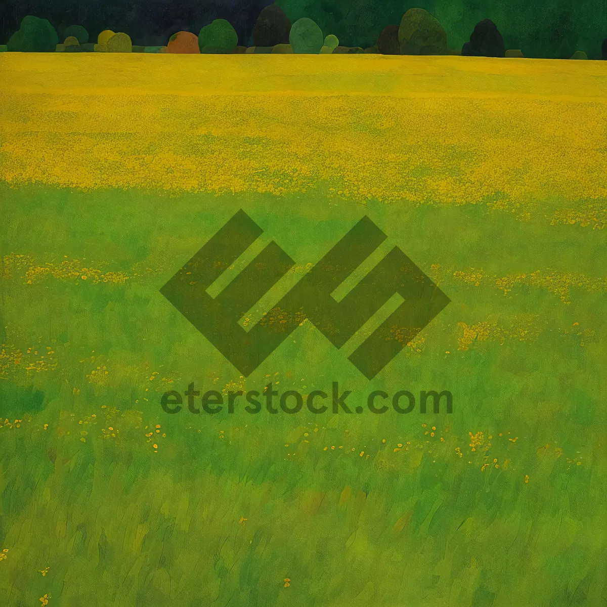 Picture of Golden Rapeseed Field Under Clear Blue Sky