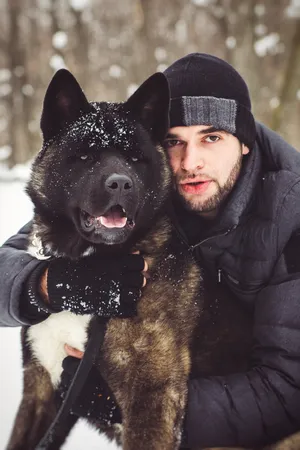 Cute black shepherd dog in the snow