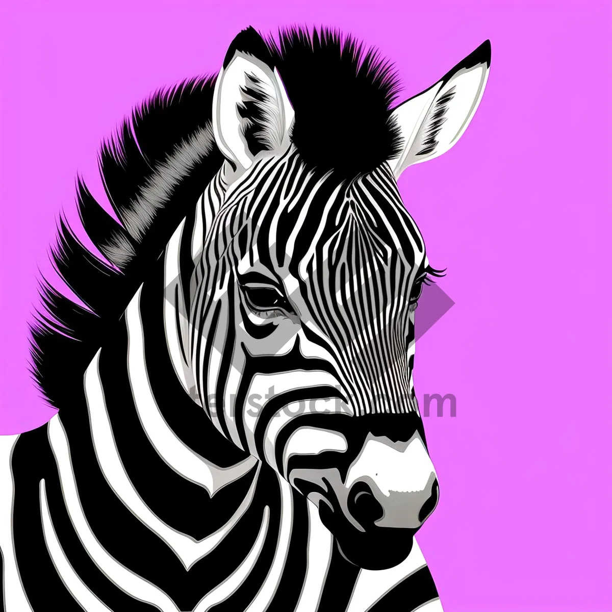 Picture of Striped Zebra Grazing in Serengeti