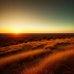 Vibrant Sunset Over Serene Ocean