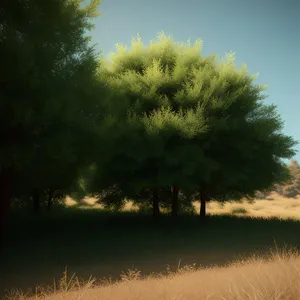 Serene Willow Landscape in Autumn