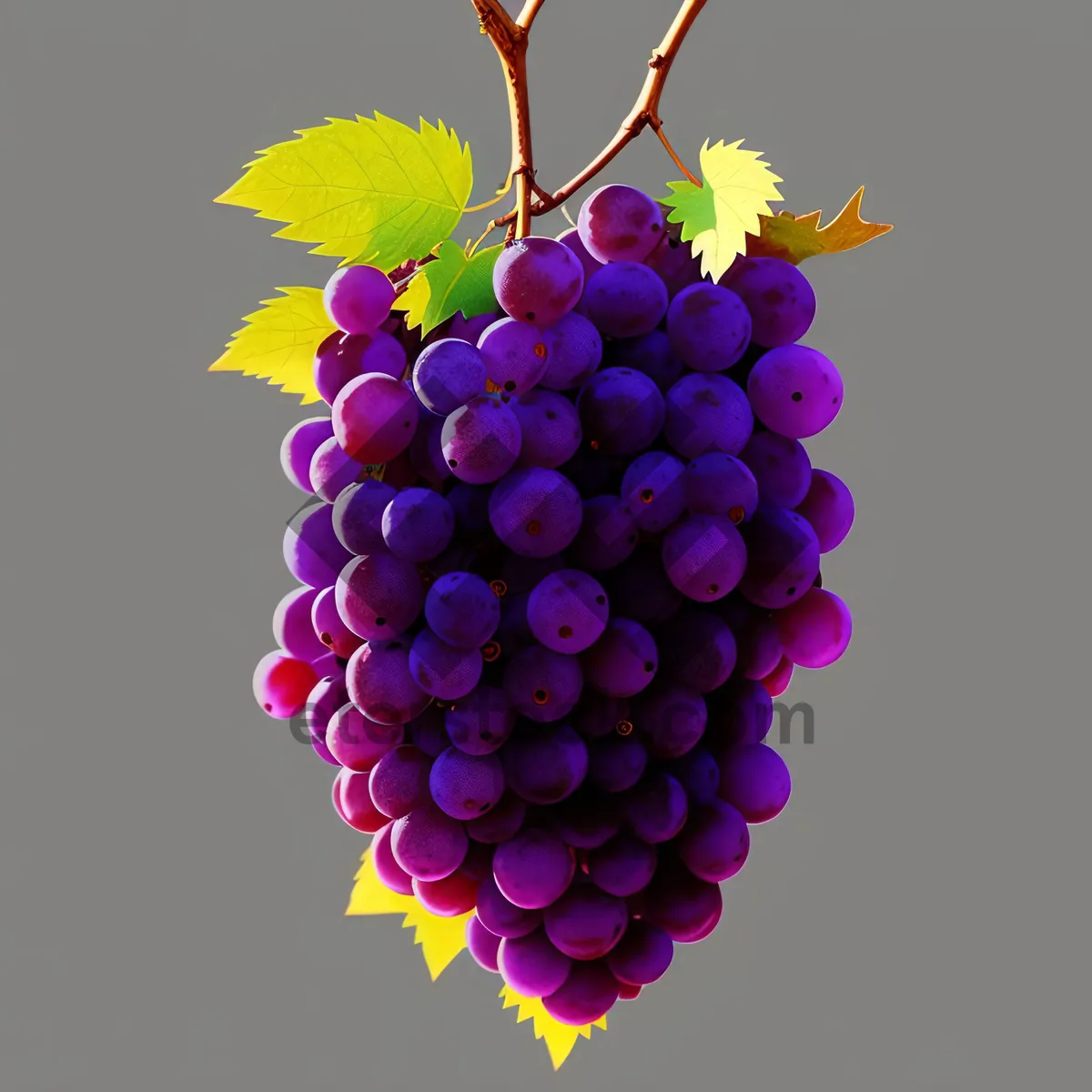 Picture of Vibrant Harvest: Ripe Grapes in a Vineyard