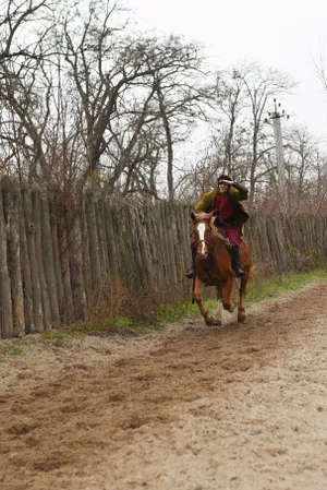 Cowboy with Hunting Dogs in Forest Meadows