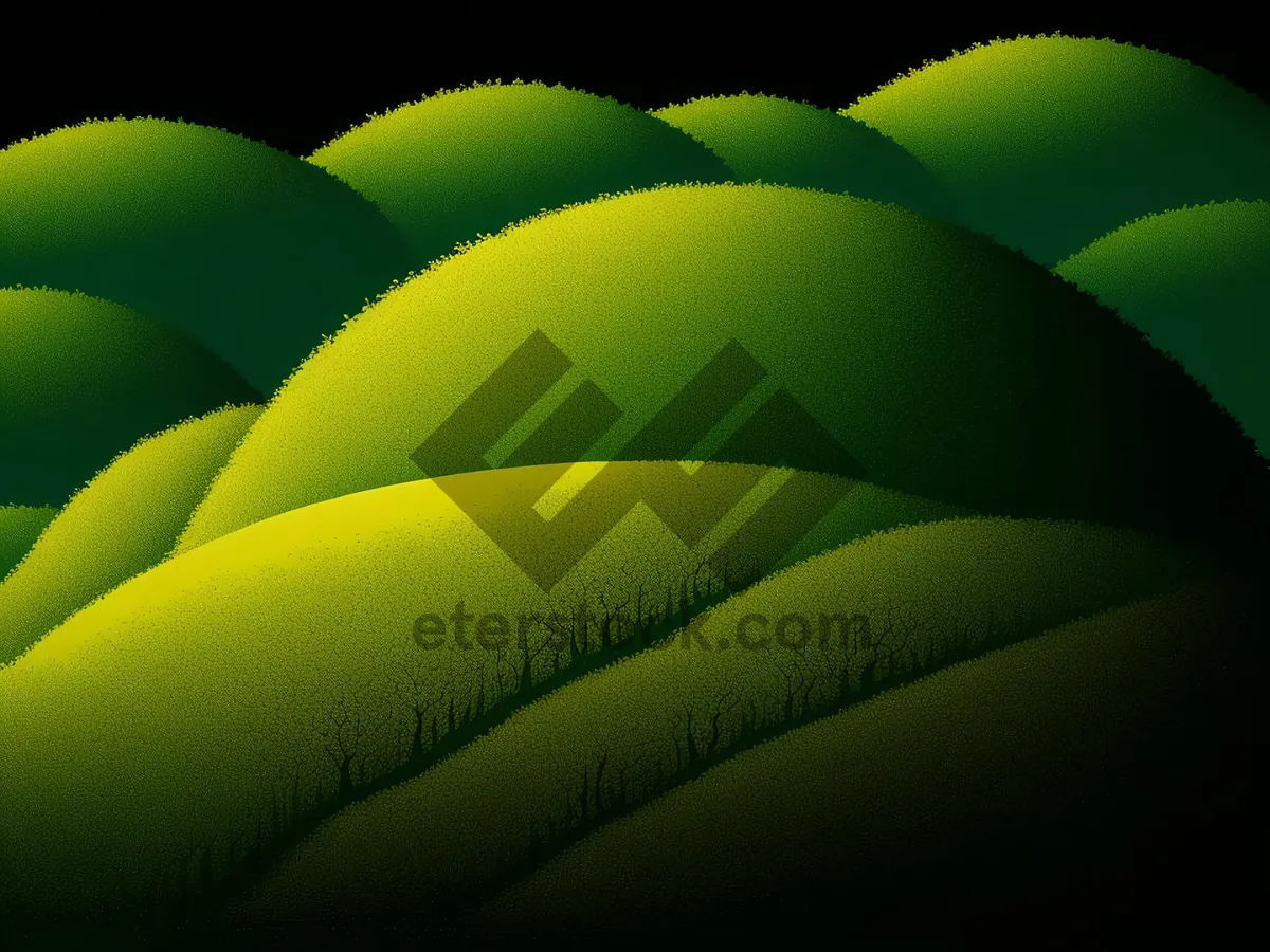 Picture of Abstract Green Fractal Graphic Design Texture Wallpaper