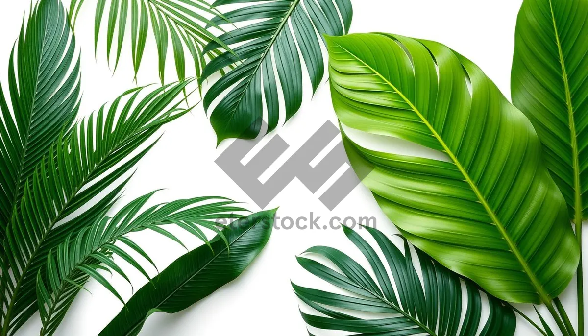 Picture of Floral Tree Branch Pattern Design - Green Foliage