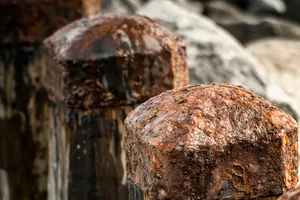 Bakery Brown Bread with Fungus