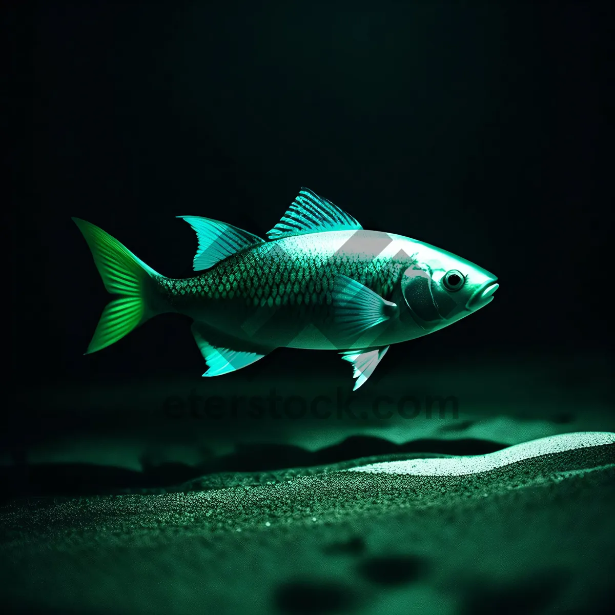 Picture of Colorful reef fish swimming in an aquarium