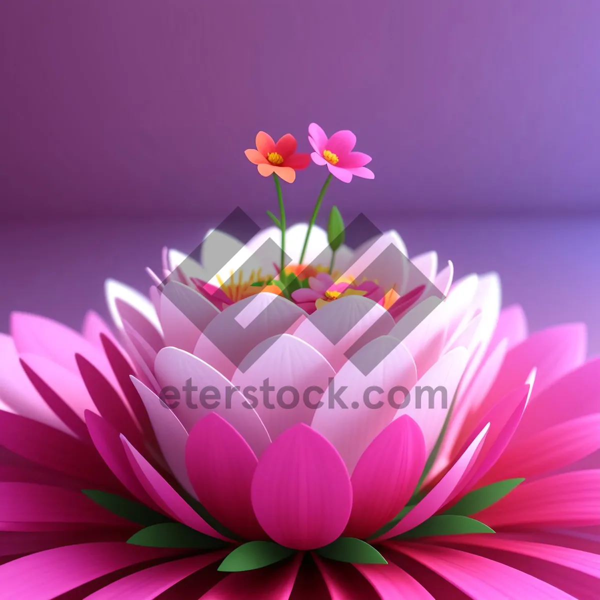 Picture of Bright Pink Lotus Blossom in Summer