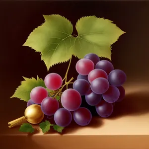 Juicy Grape cluster - Fresh and Healthy Harvest