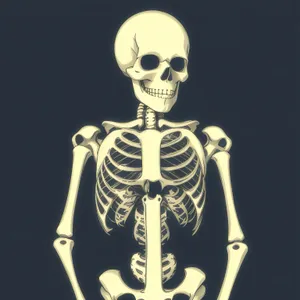 Spooky Pirate Skeleton in 3D