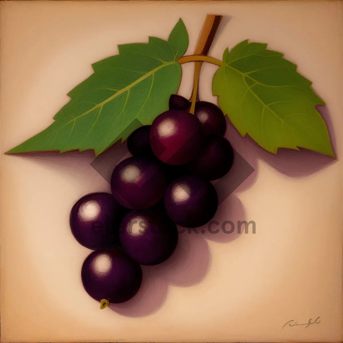 Picture of Juicy Berry Explosion: Fresh, Ripe Cherries with Sweet Grapes