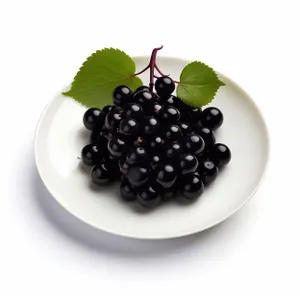 Delicious Blackberry Berry Closeup - Fresh and Healthy