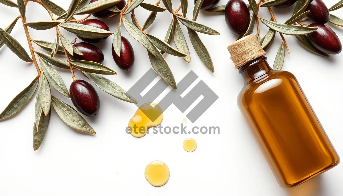 Picture of Brown bangle with wax-covered fruit and seed.