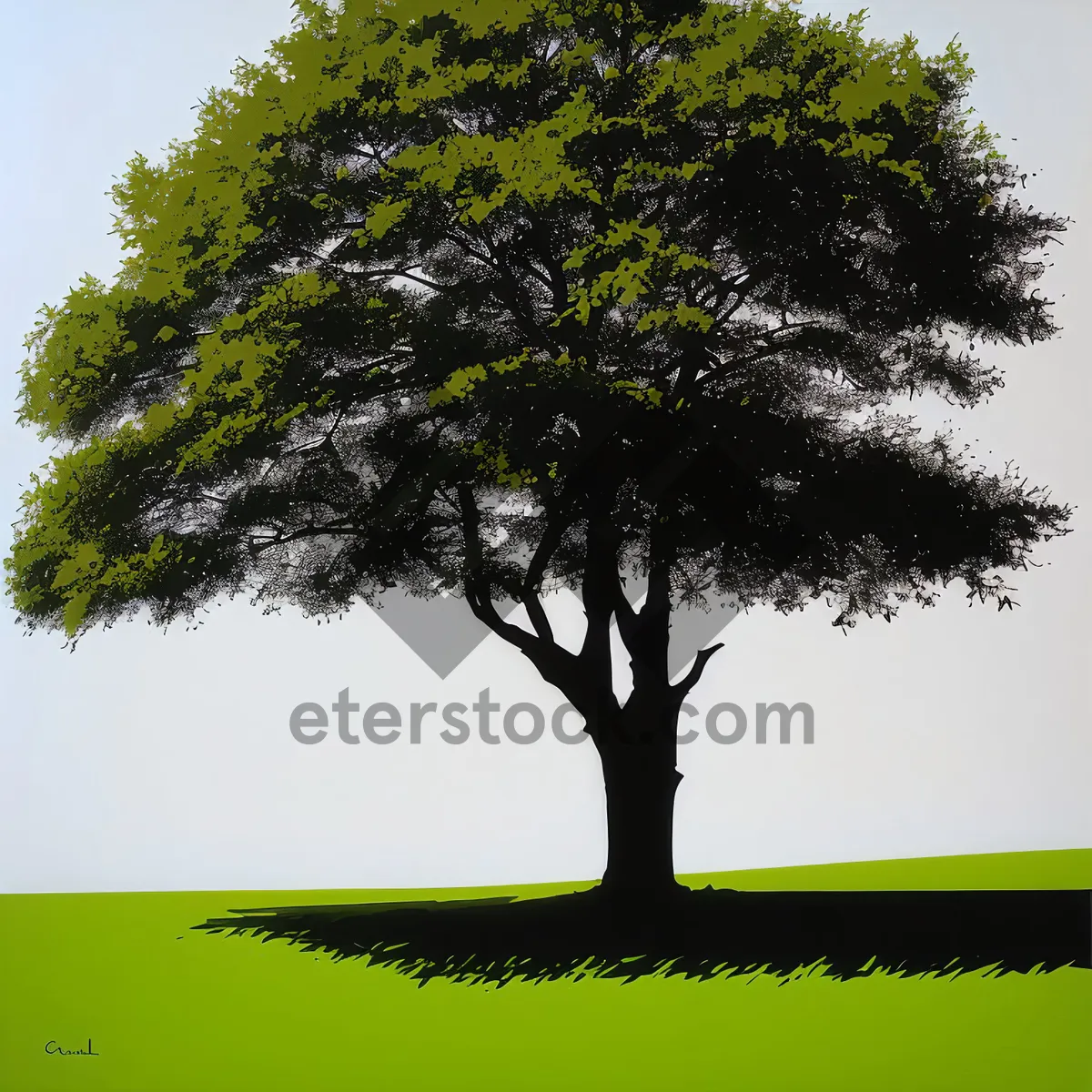 Picture of Solitary Oak Tree in Rustic Landscape