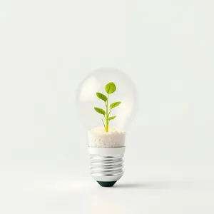 Bright Energy Solution - Light Bulb Innovation