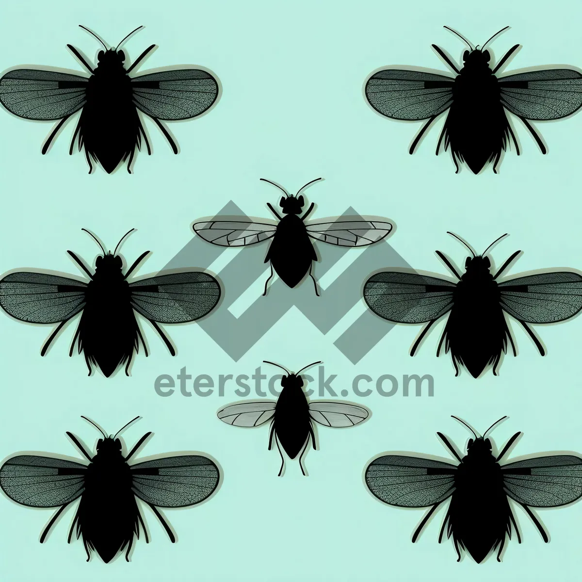 Picture of Black Insect Close-Up: Ant, Tick, Louse & Arachnid