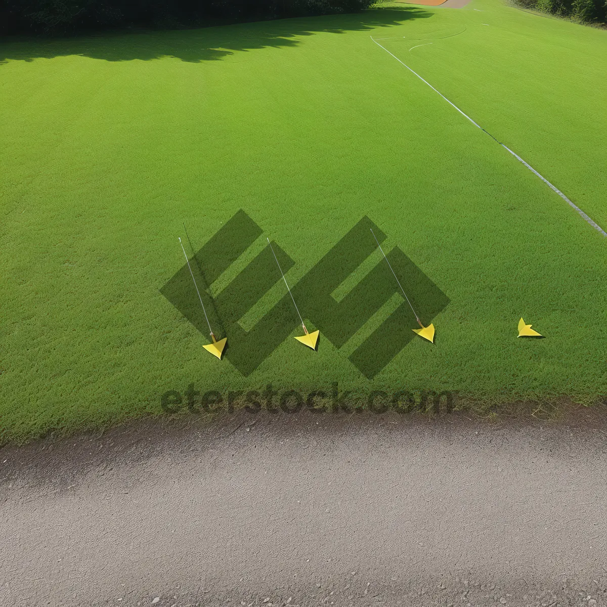 Picture of Summer Golf Game on Lush Green Meadow