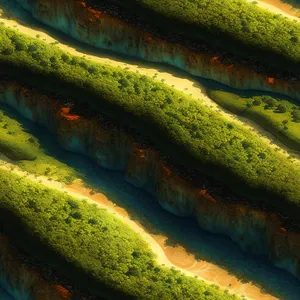 Pristine River Flow through Mossy Forest