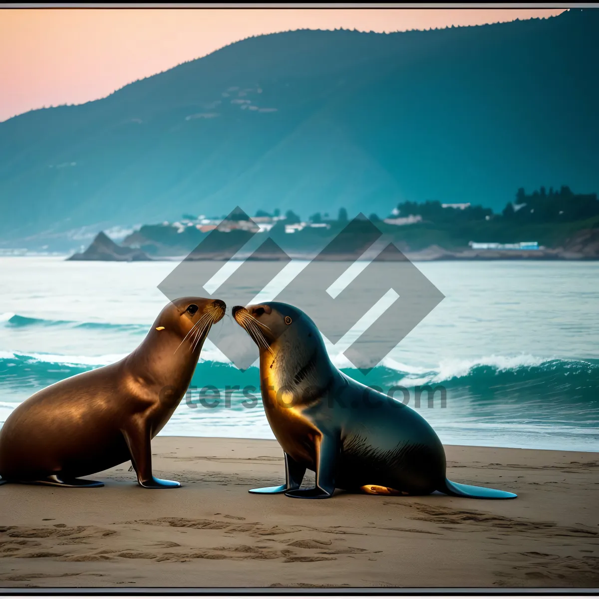 Picture of Playful Sea Lion Lounging on Sandy Beach