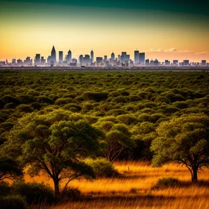 Golden Sunset Over Rural Landscape