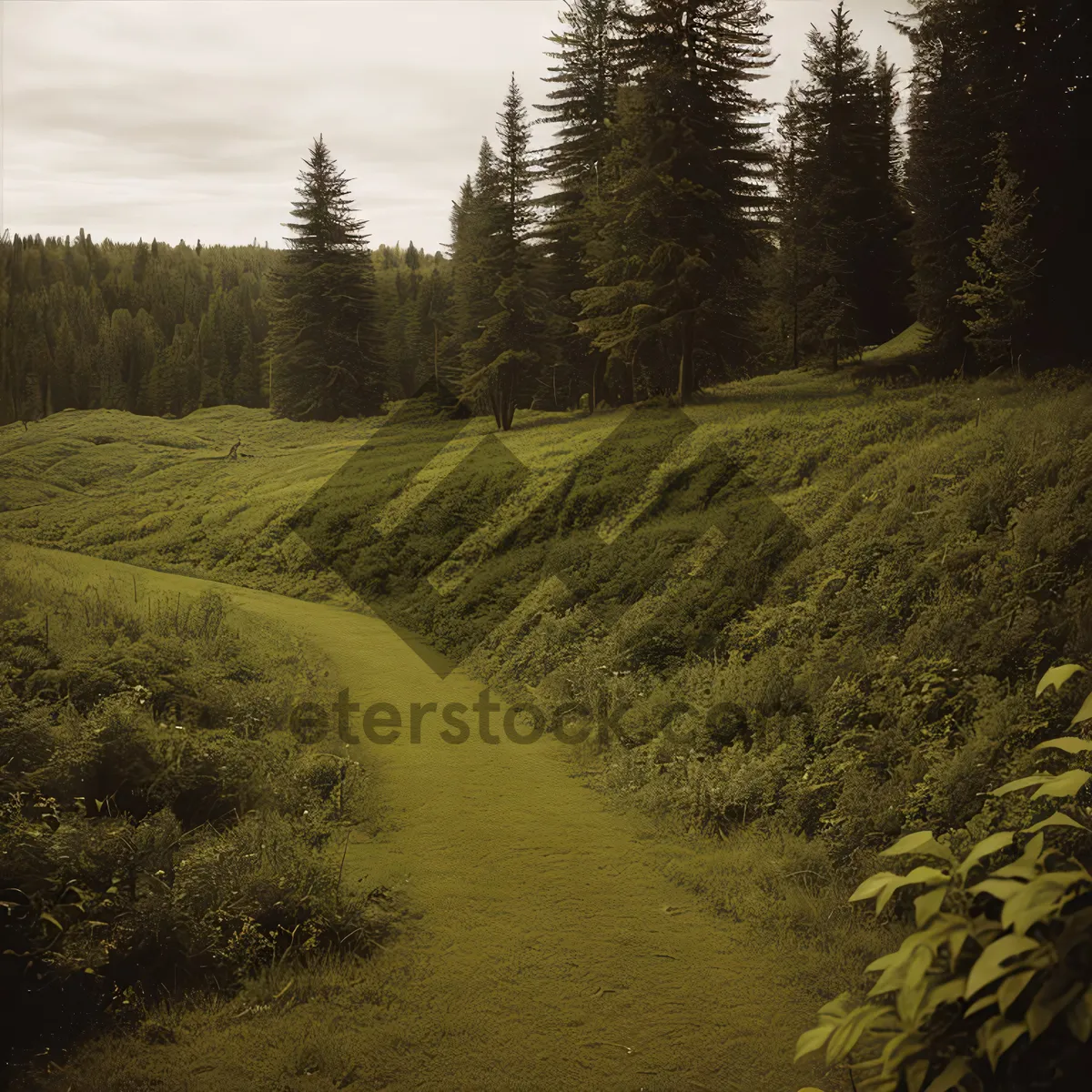 Picture of Serene Wilderness: Majestic Mountains, Lush Forest, and Rustic Countryside