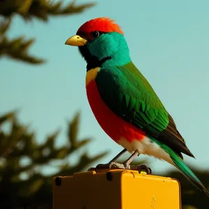 Vibrant Winged Exotic Macaw Perched on Branch