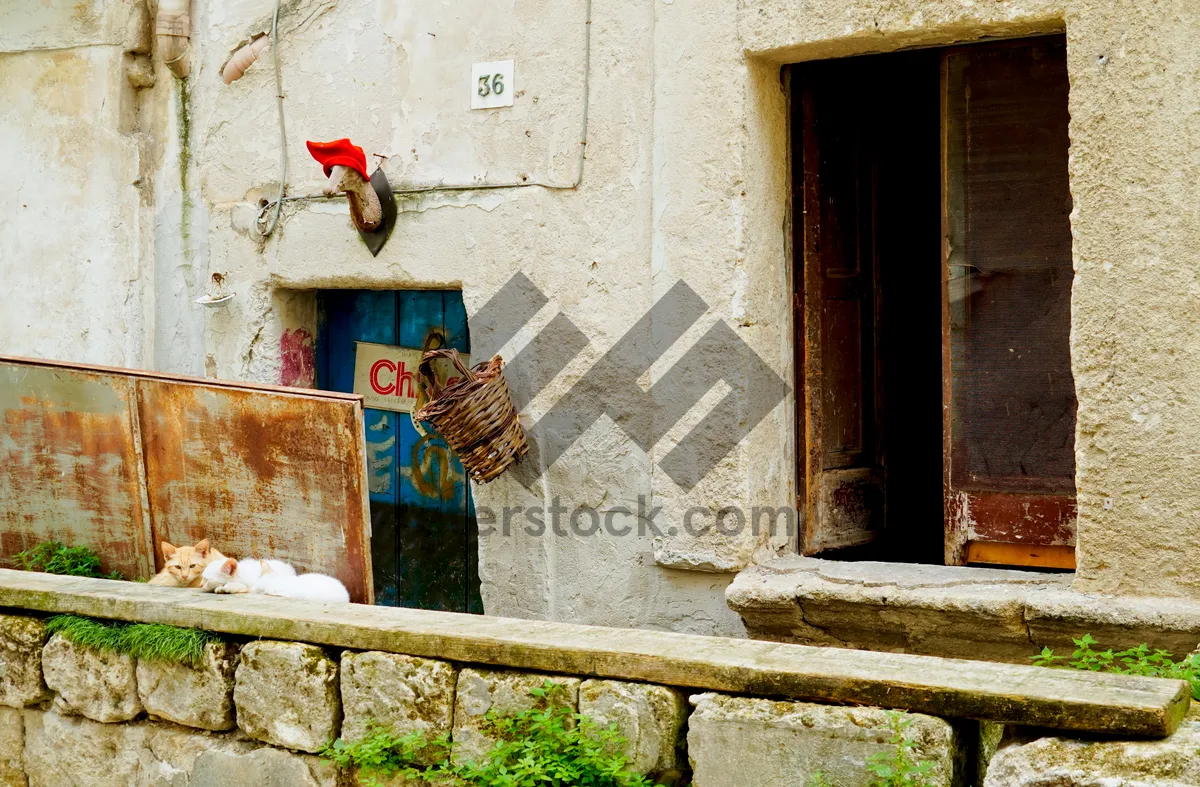 Picture of Old wooden door with brick wall and padlock