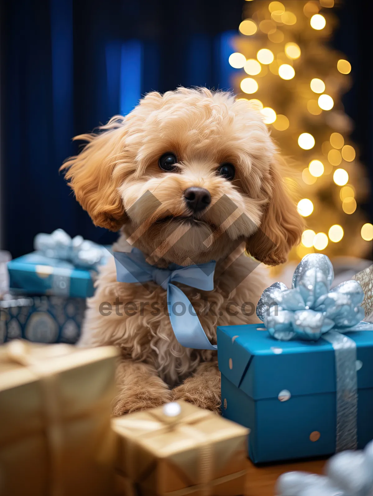 Picture of Adorable Terrier Puppy - Domestic Animal Portrait