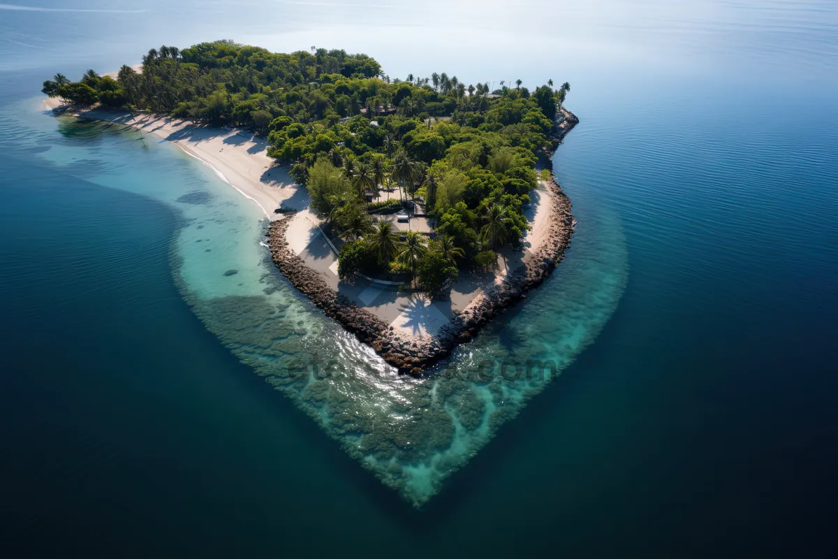 Picture of Tropical beach paradise with calm ocean waters.