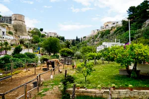 Scenic mountain river in picturesque village garden landscape